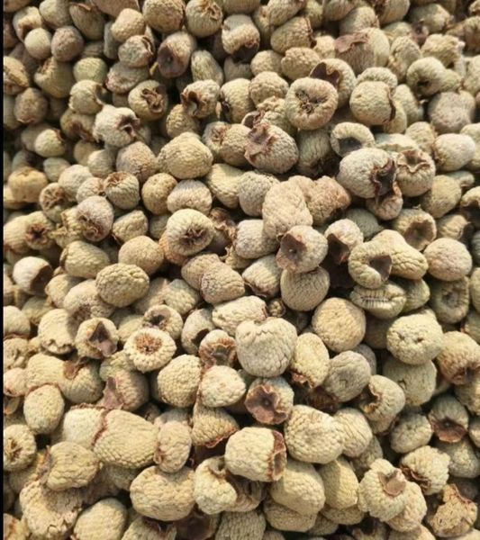 qualité feuille de framboise usine