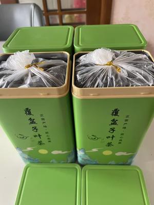 Sweet Blackberry Leaves Extract Sweet Blackberry Leaves Extract Powder Sweet Tea Extract