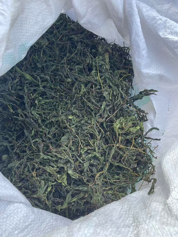 Natural Raspberry Leaf Tea Healthy Herbal Tea with high sweetener Flavonoids and Tea polyphenols low calorie non-toxic
